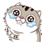 :Aminanni:
