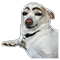 :cho2: