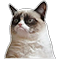 :meo:
